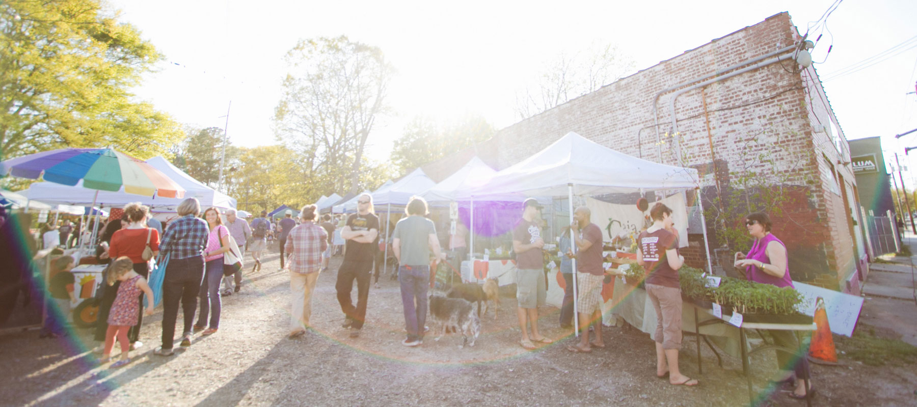 5 Things to Expect from The Village Market - The Village Market Atlanta