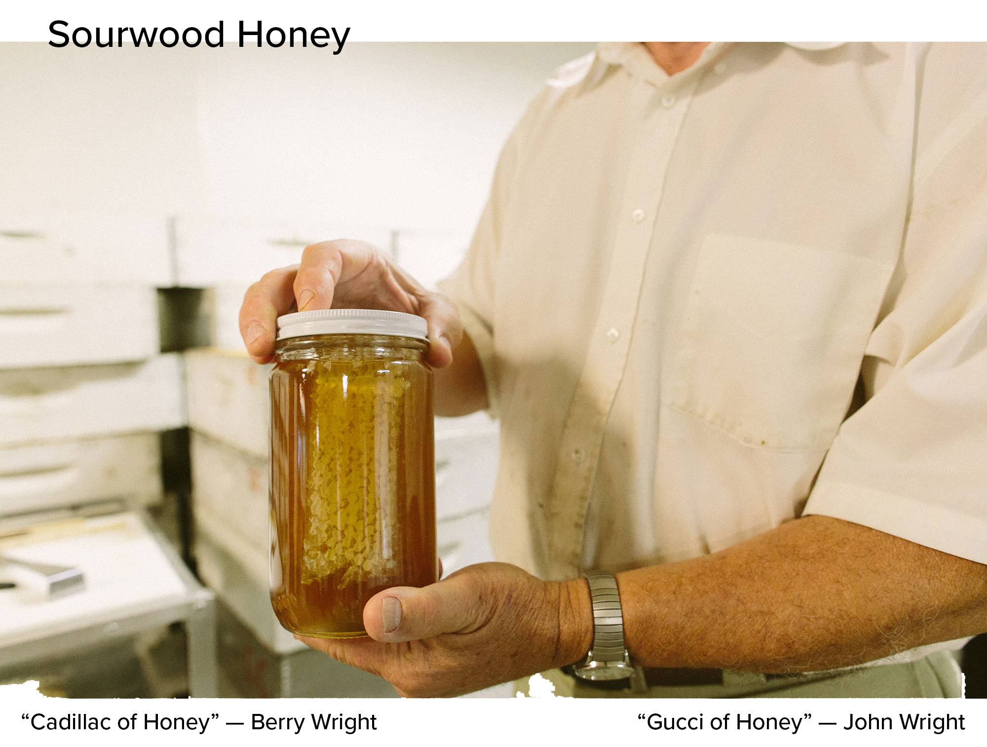 Sourwood Honey