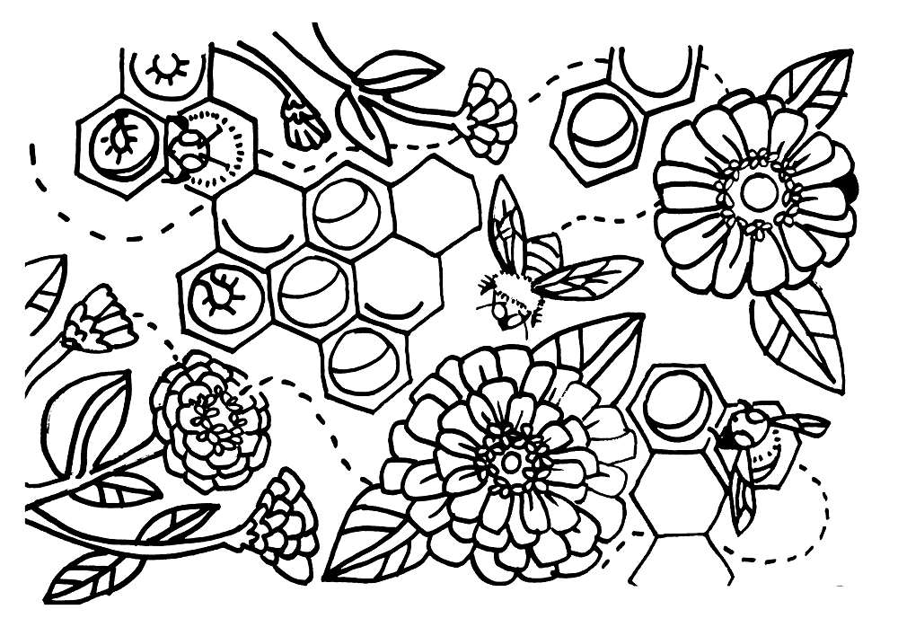 Coloring Page. Bumblebees and Zinnias thumbnail - Community Farmers Markets